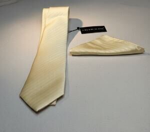 Barry. Wang Mens Champagne Tie Striped Silk Necktie Hanky